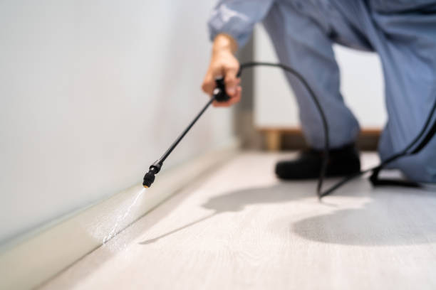 Licensed Cockroach Control service in Wake Forest, NC - Nex Pest Control