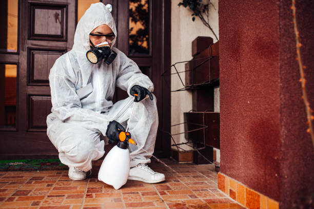 Reliable Cockroach Control contractor in Wake Forest, NC by Nex Pest Control